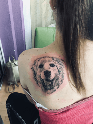 tattoo#dog#blackandgrey#back#backpiece#portrait 