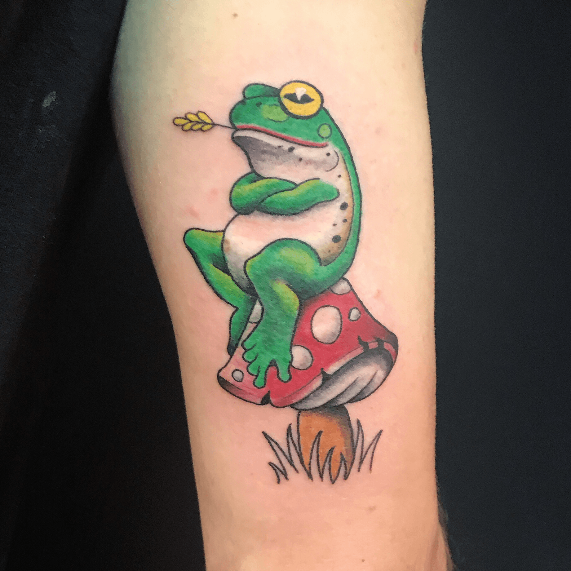 frog toadstool tattooTikTok Search