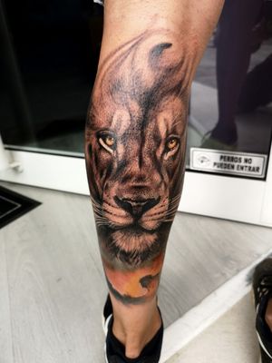 °The King° . . . #tattoo #lion #realistictattoos #tenerife #españa #spain #madrid #barcelona #tattoos #tattooed #ink #inked #tattooartist #tattooer 