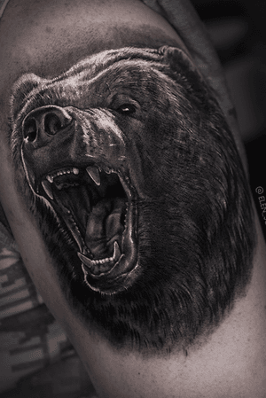 #blackandgray #bear #dark #elensoul