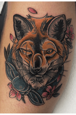 Bandit fox 