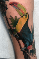 Toucan tattoo