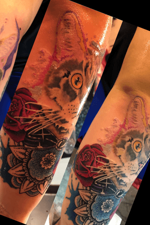 Cat color Portrait with roses and dot design looks great pictures dont do this one justice!