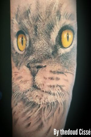 Tattoo realistic 🐱🐱🐱🐱😁👍🏿👍🏿👍🏿black and grey by thedoud Cissé @prilaga  #realistictattooing #réalistictattoo #realistictattoosleeve #realistictattooo #realistictattooartist #realistictattootattooartist #realistictattooss #realistictattoo_ #realistictattooart #realistictattoogeneve #realistictattoominsk #realistictattoostyle #realistictattoos #realistictattooartists #realistictattoodesign #realistictattooshop #prilaga #realistictattoostattooistartmag #realistictattoosinutah #realistictattoo29palms #realistictattoopage