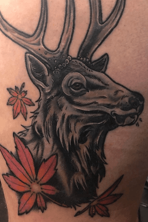 Healed stag and maple
