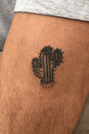#cactus #stickandpoke #handpoke 