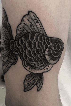 It’s always a pleasure and honour to do someone’s first tattoo. Thank you for making the trip to Norwich, Simon! 🐡......#tattoo #tattooed #traditionaltattooing #dotwork #dotworkartist #dotworktattoo #dotworktattoos #goldfish #goldfishtattoo #japanesetattoo #japanesetattoos #traditionaltattoos #traditionaltattoo #blackwork #blackworktattoo #norwich #norwichtattoo #norwichtattooist #kawaiitattoo #lucky #luckytattoo #goodluck