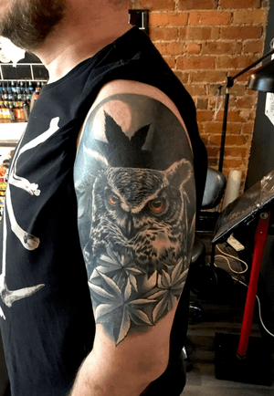 Owl cover up