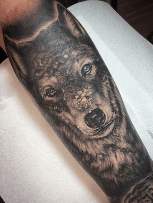 Realistic wolf in the snow I did for Gregor, filling up the outside of the forearm. As long as you’re not an absolute unit I can normally get a realistic tattoo on this kind of scale done in a day sitting. Get in touch at jimltattooer@gmail.com if you’d like something like this! #wolf #wolftattoo #blackandgrey #blackandgreytattoo #realism 
