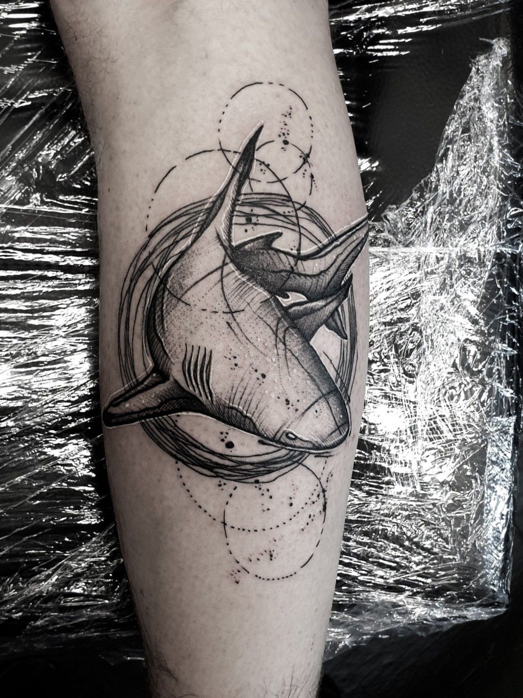Arm Realistic Shark Tattoo by Fredy Tattoo