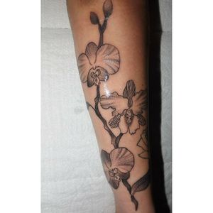Orquídeas #blackwork #tattooart #dotwork 