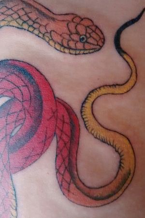 Snake Tattoo #ink #inked #inkedup #femaletattooartist #desingtattoo #proyect #inkedgirl #inkedlife #inkedwoman #art #work #artwork #womensempowerment #femaleartist #ensenada #bajacalifornia #mexico 