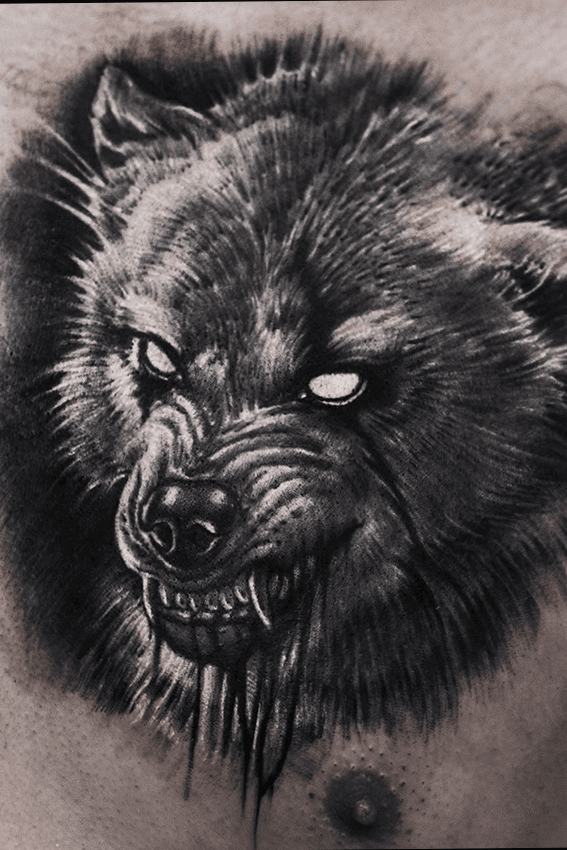100 Background Of Angry Wolf Tattoo Design Illustrations RoyaltyFree  Vector Graphics  Clip Art  iStock