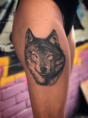 Wolf for Angela today. #blackandgreytattoo #blackandgrey #bng #bnginksociety #wallsandskin #tattoo #tatuagem #tatuaje #girlwithtattoos #rotterdamtattoo #amsterdamtattoo #wolf #wolftattoo #wildlifetattoo #bordewolf #bavaria86 #realistictattoo #realism