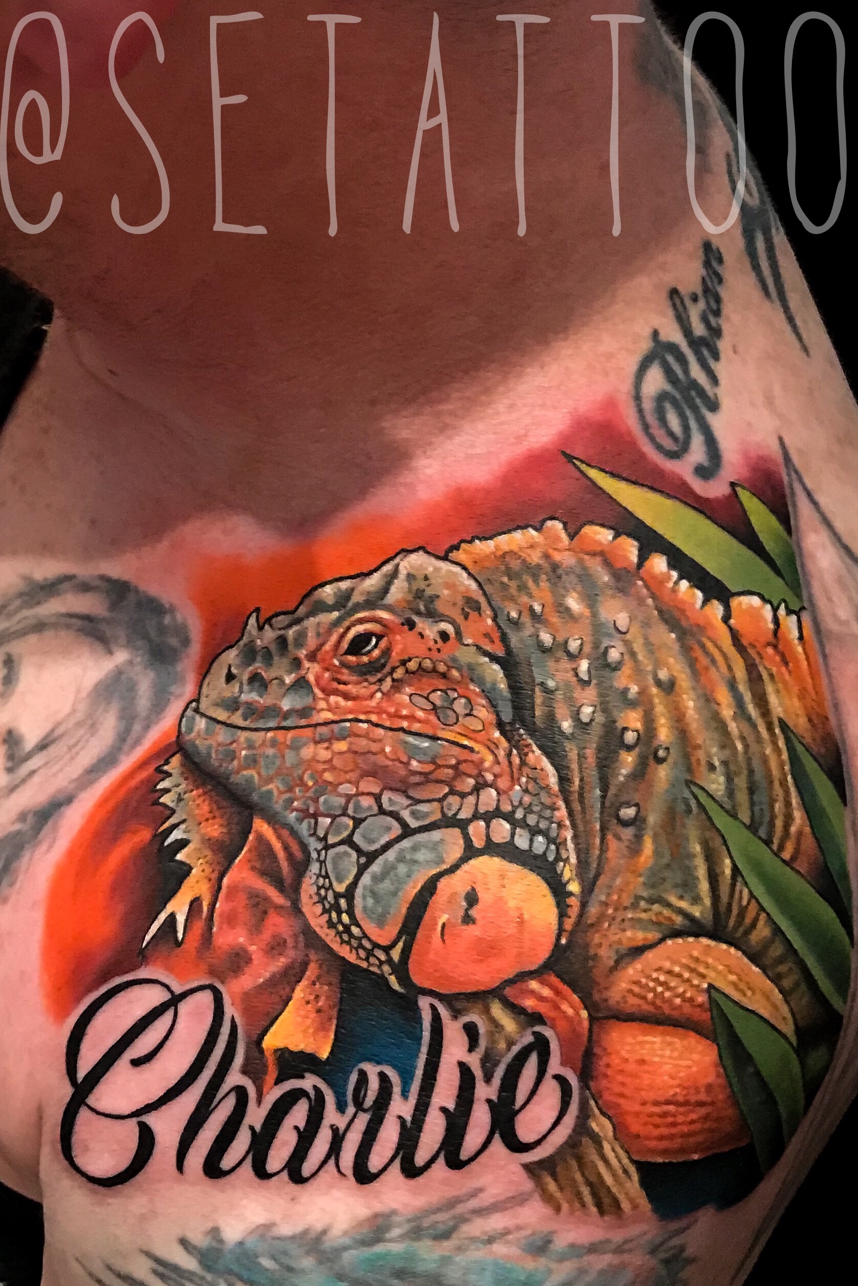 Tattoo uploaded by Stephen Elstone • Charlie the iguana • Tattoodo