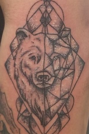 Geometric Bear