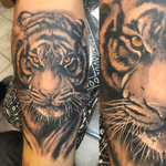 Black and gray surrealistic tiger forearm colored eyes