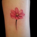 #painterly #painterlystyle #realistic #realism #realismtattoo #realismtattoos #realistictattoo #realistictattoos #flower #flowertattoo #flowertattoos
