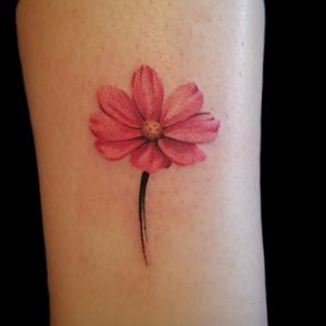 #painterly #painterlystyle #realistic #realism #realismtattoo #realismtattoos #realistictattoo #realistictattoos #flower #flowertattoo #flowertattoos