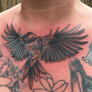 Bird on the chest