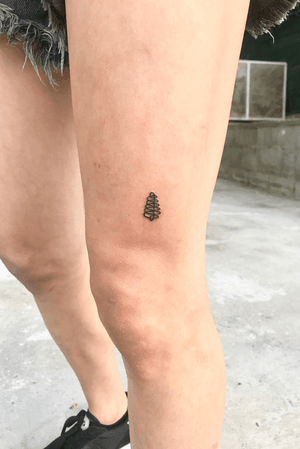 Tattoo by Soft Fury Tattoo 