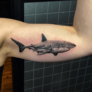 Tattoo by Absolute Ink
