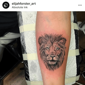 B&G realistic lion 