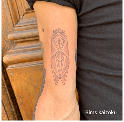 Petite cigales géométriques craaack ! #bims #bimskaizoku #bimstattoo #cigales  #insecte #insect #insecttattoo #paris #paname #parisparis #paristattoo #ink #inked #dot #dotwork #dotworker #sun #soleil #blogueuse #youtuber #art #artiste #tatt #tattoo #tattoos #tatto #tattoostyle #tattooer #tattooartist 