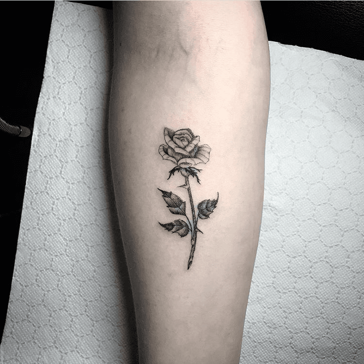 Vienna Electric Tattoo  Single needle rose by jacobxjason  Facebook