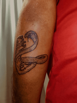 Mangusto e a Cobra Rei tatuados no Lucas Assumpção. 