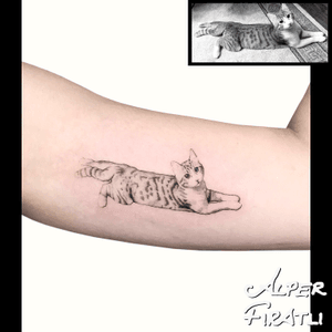 🐈 .For personal designs and appointments;alperfiratli@gmail.com#cat #pettattoo #realistic #cattattoo #tattoo #tattooartist #tattooidea #art #tattooart #tattoooftheday #tattoostagram #ink #inked #customtattoo #customdesign #tattooist #dotwork #savemyink #tattooisartmag #tattoo_artwork #tattoo_art_worldwide #alperfıratlı #linework #microtattoo #singleneedle #singleneedletattoo #realistictattoo #catsofinstagram