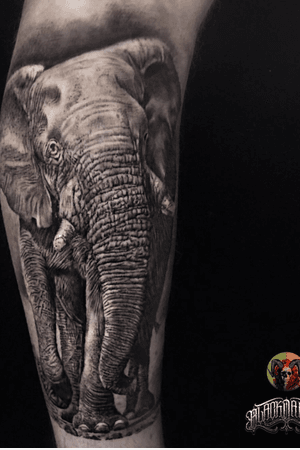 #elephant #animal #blackandgrey #realistic #realism #elephanttattoo
