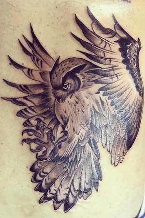 Owl Tattoo done at Gargoyle Tattoo Studio Auckland For appointments -Message us directly on Facebook -Call now on +64 22 529 1500 -Email us on info@gargoyletattoos.co.nz -Click on the below link https://www.gargoyletattoos.co.nz/contact-us/ Web Address: https://www.gargoyletattoos.co.nz Instagram: https://instagram.com/gargoyletattoos Facebook: https://www.facebook.com/gargoyletattoostudio #tattooideas #tatts #tat #tattooparlour #tattooparlourauckland #tattooshop #tattooshopauckland #aucklandcentral #auckland #aucklandtattoo #tattooauckland #tattooartistauckland #tattoos #tattoo #tattooartist #gargoyletattoostudio #tattoomachine #tattoolovers #tattoostyle #NZtattoo #nz #instadaily #insta #instagram #newzealand #instamag #tribaltattoo #tribal