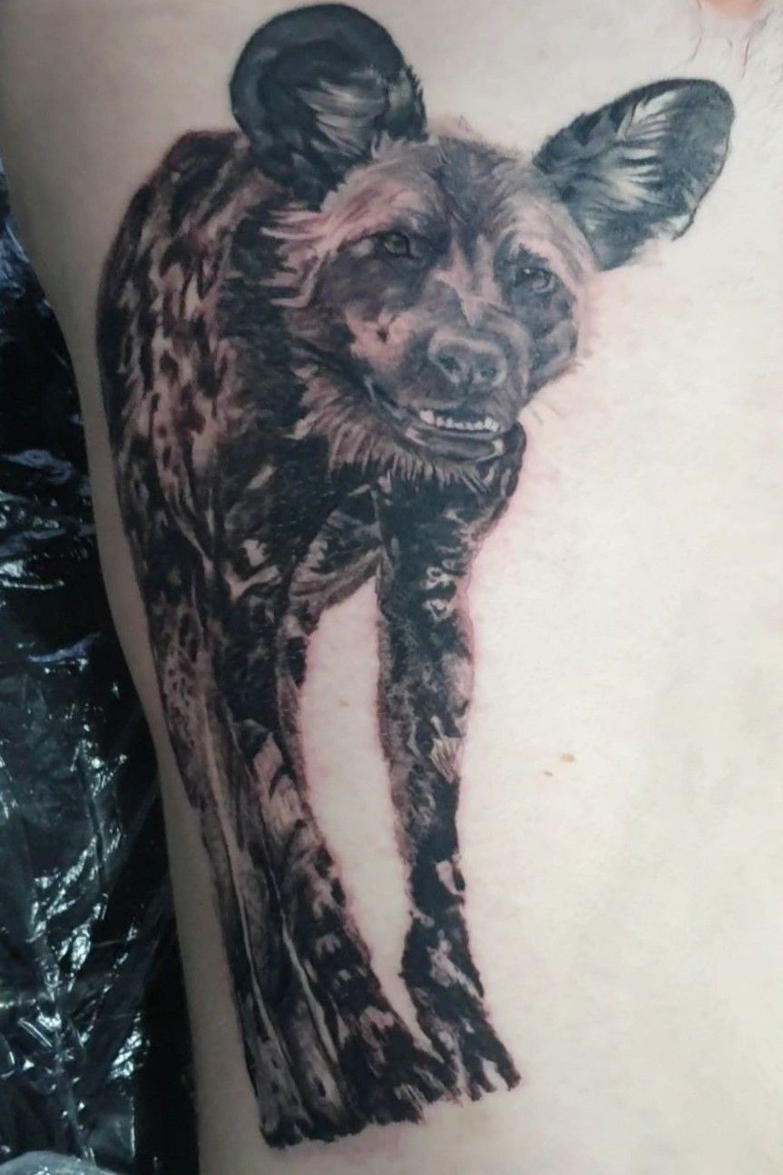 OLLIE KEABLE TATTOOS  Got the chance to tattoo an African Wild Dog