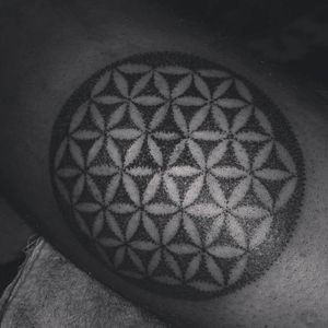 #tattoo #dotwork #blackwork #floweroflife #pattern #symmetry