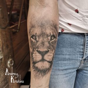 #tattoos @hardcoretattoo #ink #dynamicink @4ih_tattoo #AndreyKruhlou #blackandgray #graywash #Minsk #guestspots #krakow  #lion #liontattoos #liontattoo  #tattoowing #animaltattoo #guestspottattoo #guestspot #tattooguestspot #tattooistartmag #tattoorealistic