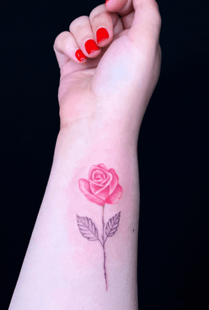 Pretty little rose 