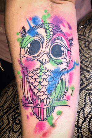Cool little color owl