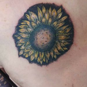 Sun flower I did