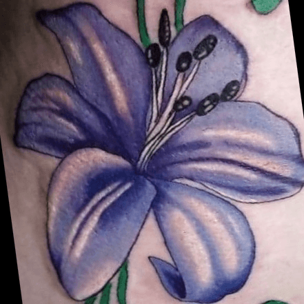 Skull and lily back tattoo Colourful purple and blue lily with black and  grey shade back tattoo  Purple flower tattoos Blue tattoo Lily tattoo