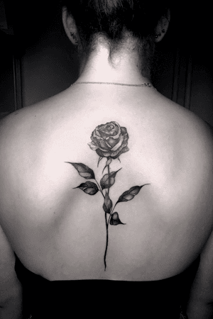 A single rose #rose #rosa #backtattoo #flower #flowertattoo #tatuajeselegantes #fineline #elegant #singlerose #espalda #rückentattoo #weiblich #femenine #femenino 