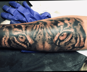 Tiger eyes on forearm!!