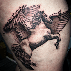 First session on this pegasus