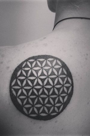 #tattoo #dotwork #blackwork #floweroflife #pattern #symmetry