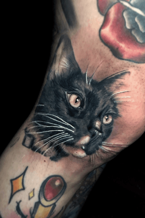Cat tattoo!!