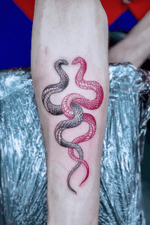 Ssssnakes 🐍🐍👀💀 Zoom it! / / / / / / / ••••••••••••••••••••••••••••••••• #snaketattoo #blackandgray #tattooed #inked #blackworktattoo #artwork #amsterdamtattoo #instart #tattoodesign #dotwork #tats #art #tattoomodel #тату #ink #tattoolife #tats #tatts #tattooideas #geometric #artistoninstagram #tattoo #tattoos #inkedgirls #tattooedgirls #tattoo2me #tattooartist #sleevetattoo #tattoo2me #thebesttattooartists #tattoodo #lineworktattoo