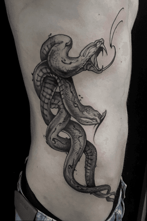 Snakes on the ribs
