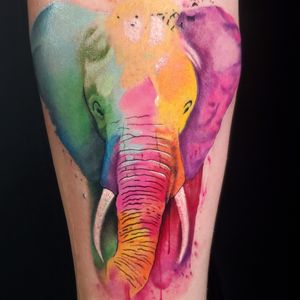 Water color elephant 