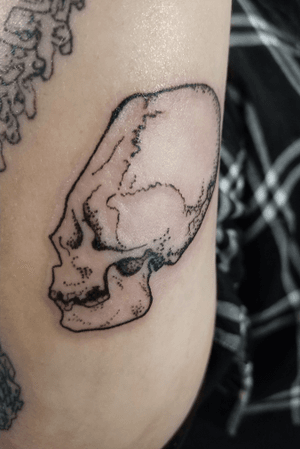 Paracas Skull—the missing link. 