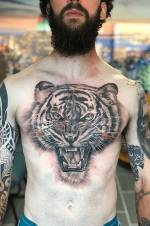 Tiger chest